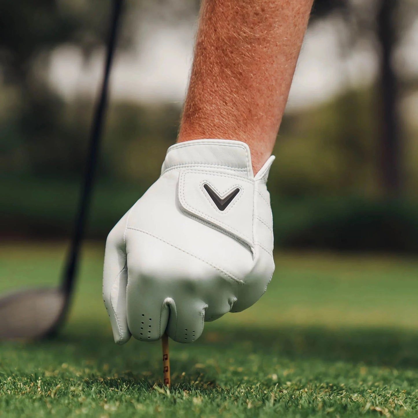 Callaway 2025 Tour Authentic Golf Glove by ParWestGolf, showing the black leather glove with Callaway branding and textured palm.